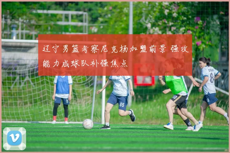 辽宁男篮考察尼克杨加盟前景 强攻能力成球队补强焦点