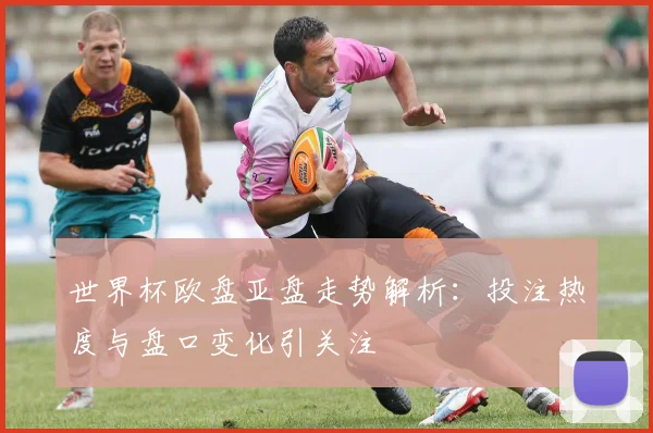 世界杯欧盘亚盘走势解析：投注热度与盘口变化引关注